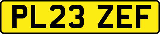 PL23ZEF