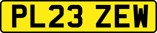 PL23ZEW
