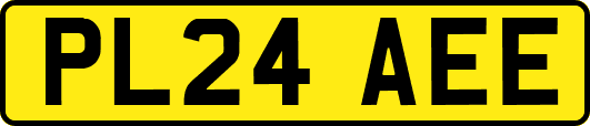 PL24AEE