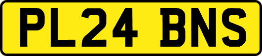 PL24BNS