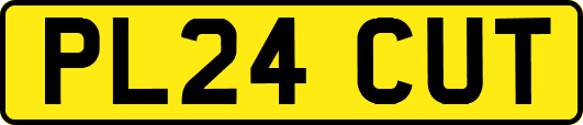 PL24CUT