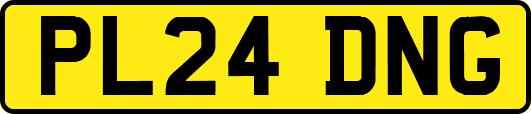 PL24DNG