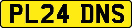 PL24DNS