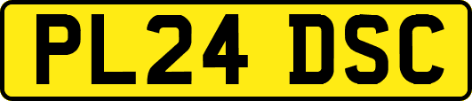 PL24DSC