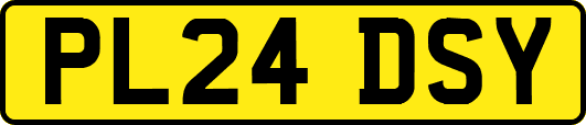 PL24DSY