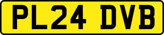 PL24DVB