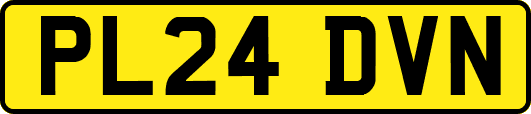 PL24DVN