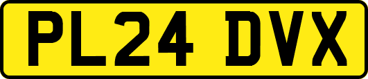 PL24DVX