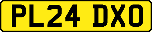 PL24DXO