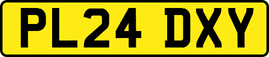 PL24DXY