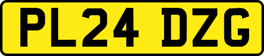 PL24DZG