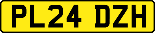 PL24DZH
