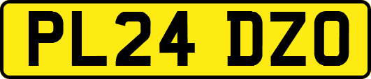 PL24DZO