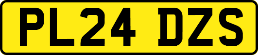 PL24DZS