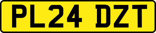 PL24DZT