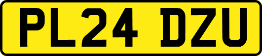 PL24DZU