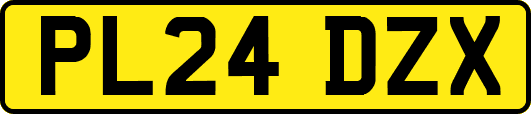PL24DZX