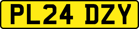 PL24DZY