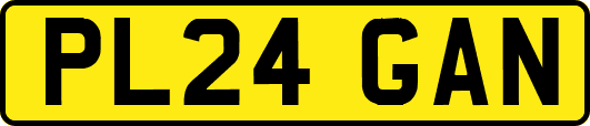 PL24GAN