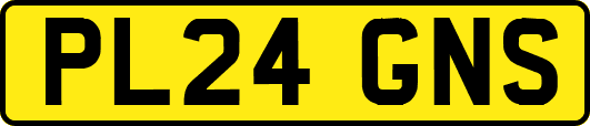 PL24GNS