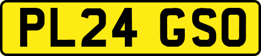 PL24GSO