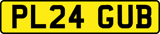 PL24GUB