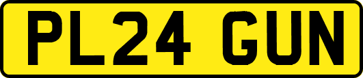PL24GUN