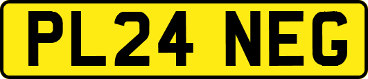 PL24NEG