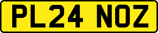 PL24NOZ