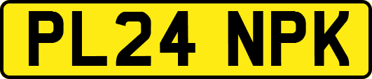 PL24NPK