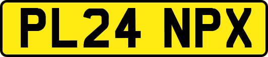 PL24NPX