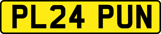 PL24PUN