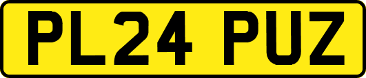 PL24PUZ