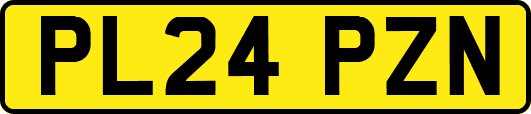 PL24PZN