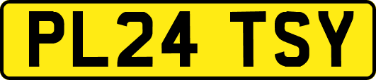 PL24TSY