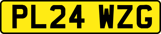 PL24WZG