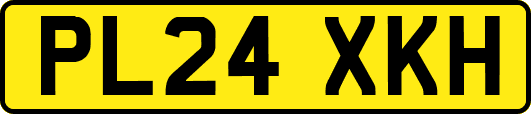 PL24XKH