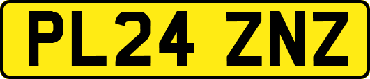 PL24ZNZ