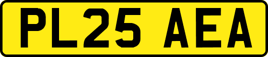 PL25AEA