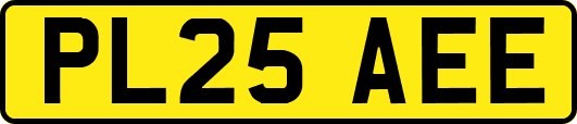 PL25AEE