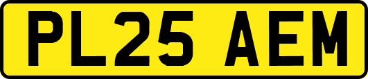 PL25AEM
