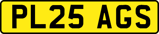 PL25AGS
