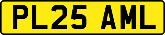PL25AML