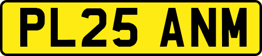 PL25ANM