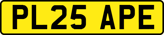 PL25APE
