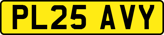 PL25AVY