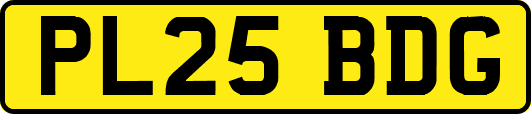 PL25BDG
