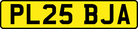 PL25BJA