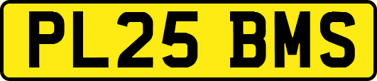 PL25BMS