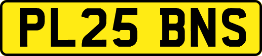 PL25BNS